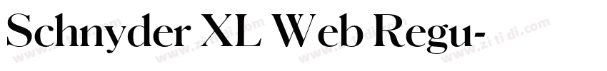 Schnyder XL Web Regu字体转换